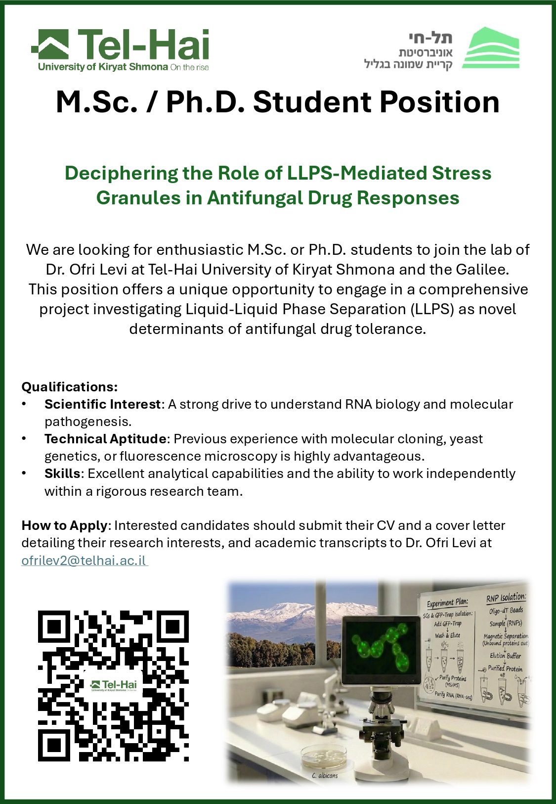 PhD Position Available