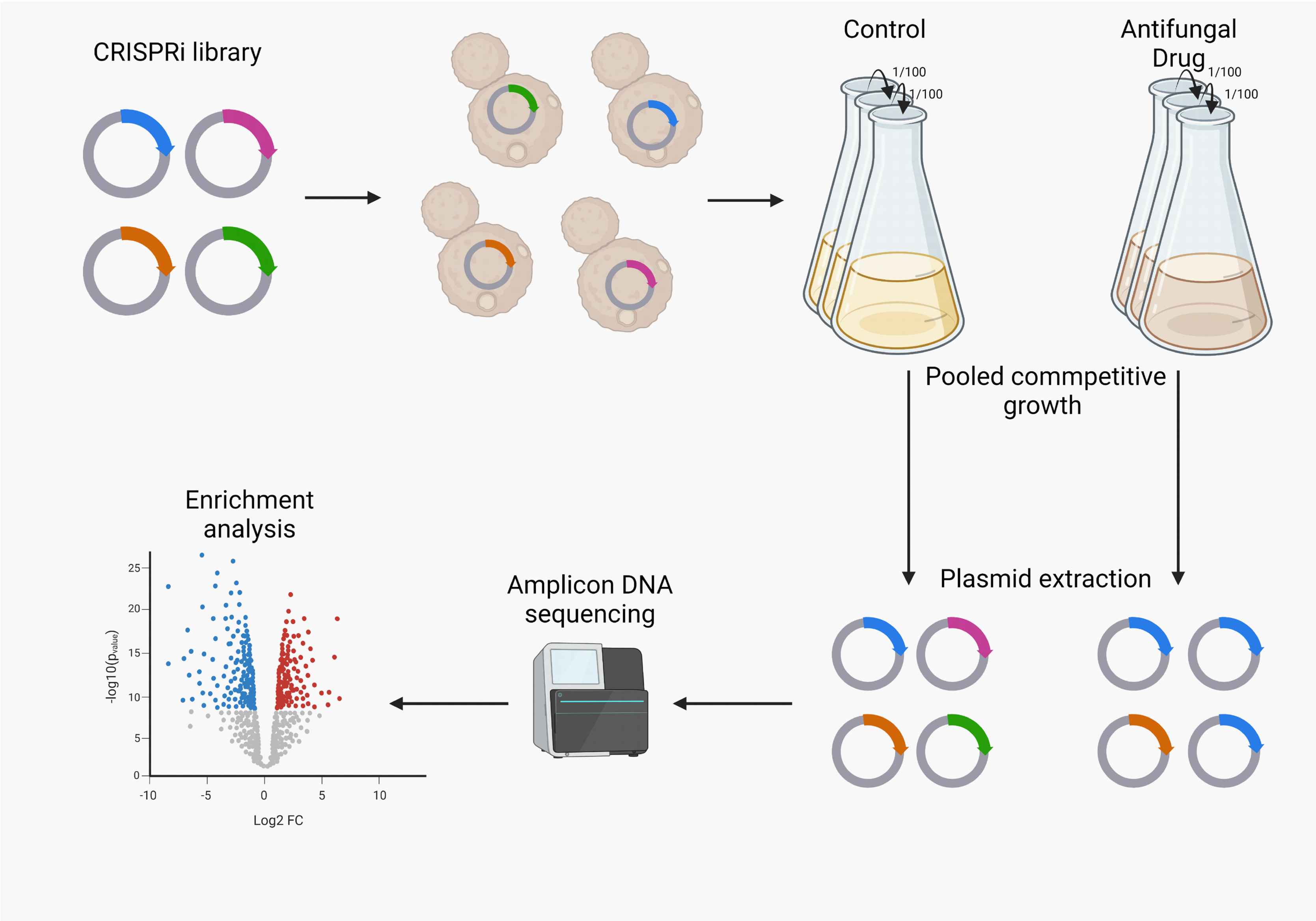 Genome-wide CRISPRi screening for antifungal resistance